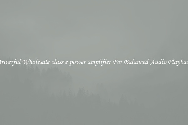 Powerful Wholesale class e power amplifier For Balanced Audio Playback