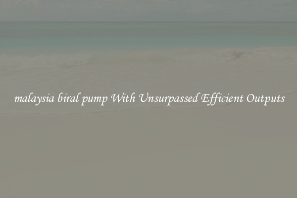 malaysia biral pump With Unsurpassed Efficient Outputs