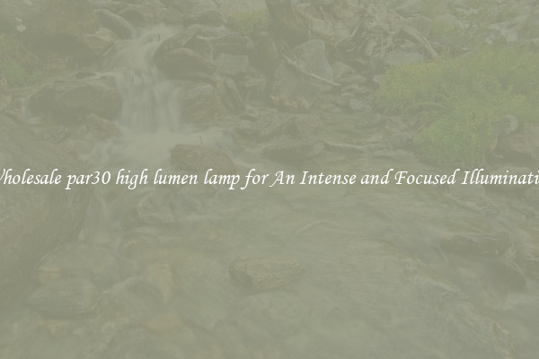 Wholesale par30 high lumen lamp for An Intense and Focused Illumination