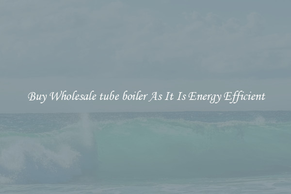 Buy Wholesale tube boiler As It Is Energy Efficient