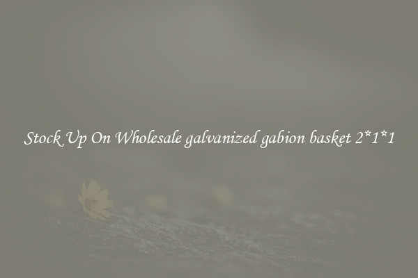 Stock Up On Wholesale galvanized gabion basket 2*1*1