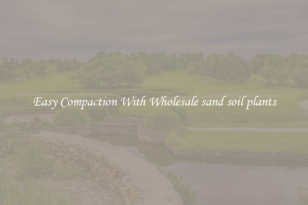 Easy Compaction With Wholesale sand soil plants
