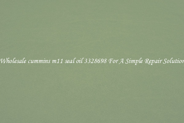 Wholesale cummins m11 seal oil 3328698 For A Simple Repair Solution
