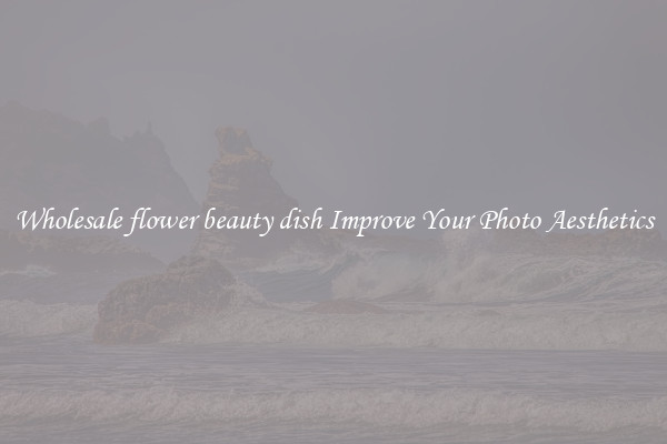 Wholesale flower beauty dish Improve Your Photo Aesthetics