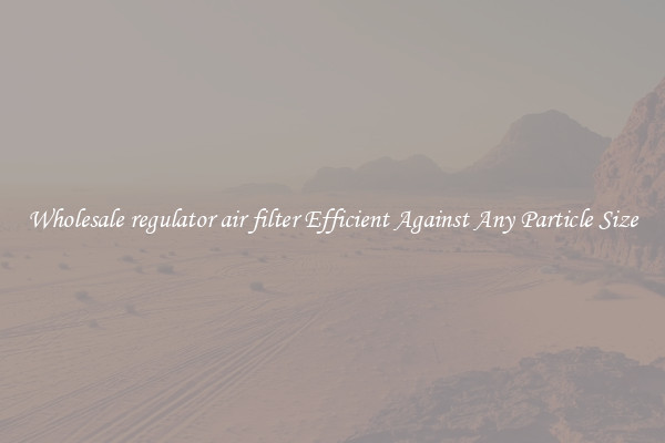 Wholesale regulator air filter Efficient Against Any Particle Size