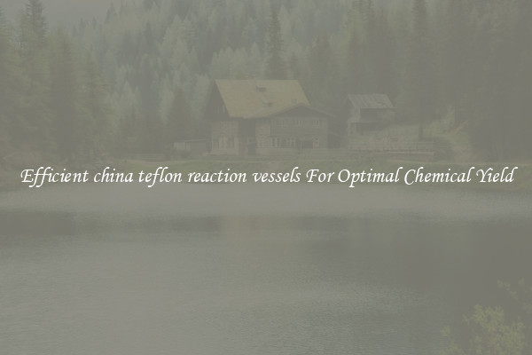 Efficient china teflon reaction vessels For Optimal Chemical Yield