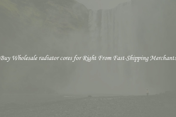 Buy Wholesale radiator cores for Right From Fast-Shipping Merchants