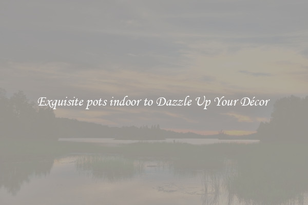 Exquisite pots indoor to Dazzle Up Your Décor 