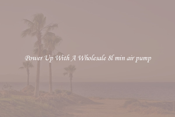 Power Up With A Wholesale 8l min air pump