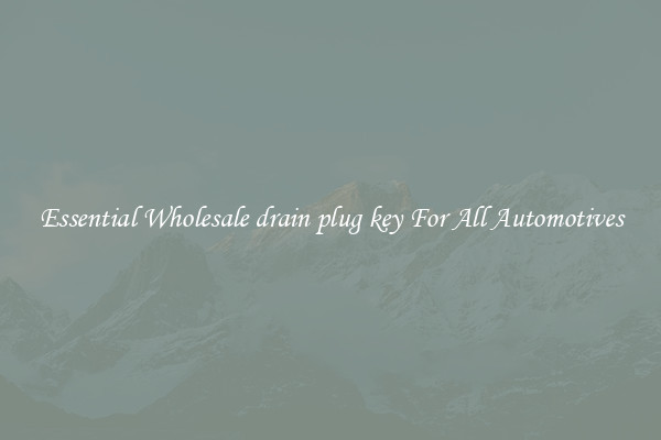 Essential Wholesale drain plug key For All Automotives