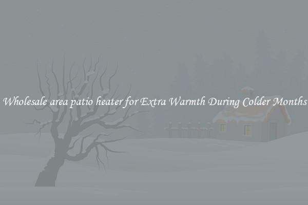 Wholesale area patio heater for Extra Warmth During Colder Months