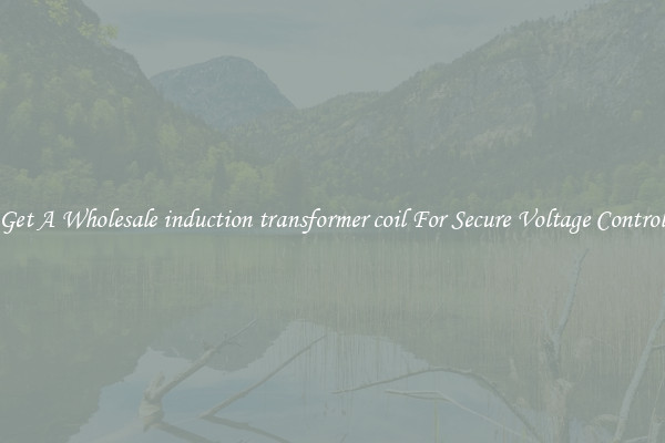 Get A Wholesale induction transformer coil For Secure Voltage Control