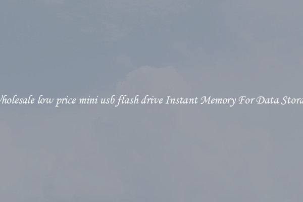 Wholesale low price mini usb flash drive Instant Memory For Data Storage
