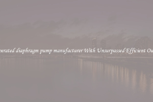 air operated diaphragm pump manufacturer With Unsurpassed Efficient Outputs