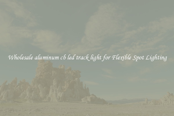 Wholesale aluminum cb led track light for Flexible Spot Lighting